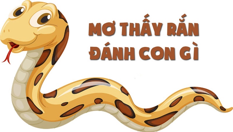 Mơ thấy rắn là điềm gì​