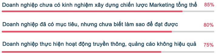 Dịch Vụ Tư Vấn Marketing Và Thực Hiện Chiến Dịch Marketing